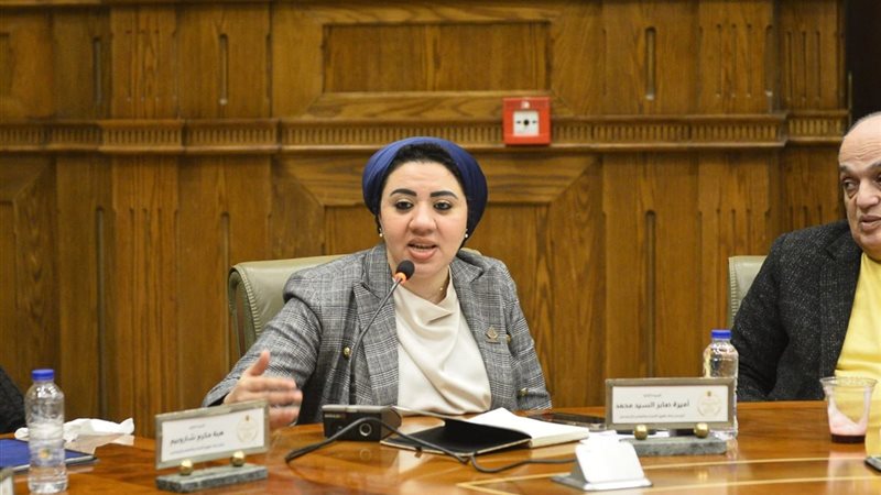 النائبة أميرة صابر قنديل 