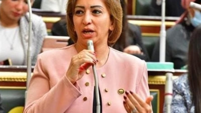 النائبة مها عبد الناصر