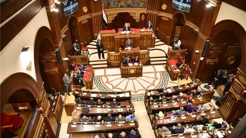 مجلس الشيوخ