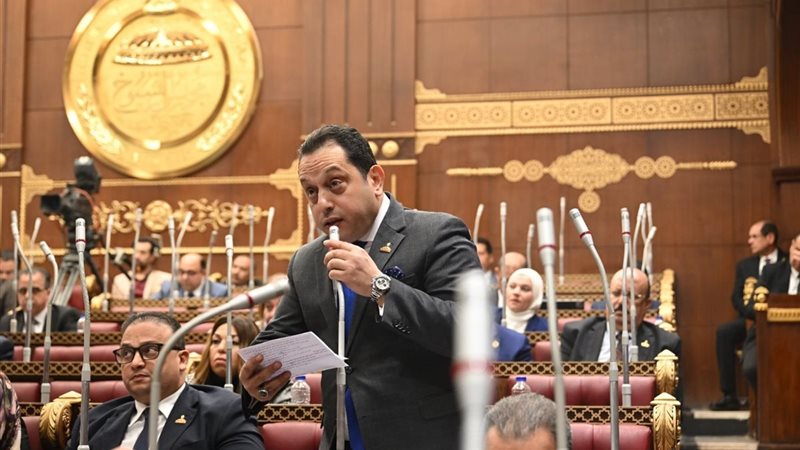  النائب محمد الجندي