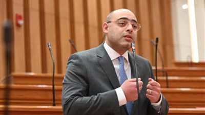 النائب أحمد علاء فايد 