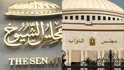 اقتراحات لمواجهة الأزمات.. أطروحات برلمانية تستهدف حل المشكلات الإجتماعية 