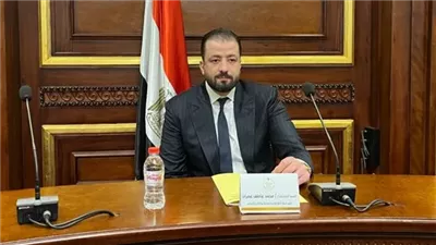 محمد عمران: مصر تثبت قدرتها على إدارة الأزمات وحماية استقرار الوطن