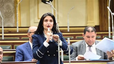 ايرين سعيد تتقدم بسؤال برلماني بشان الأطر القانوني المحمي به عمال الدليفري