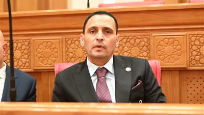 النائب إسلام التلواني 