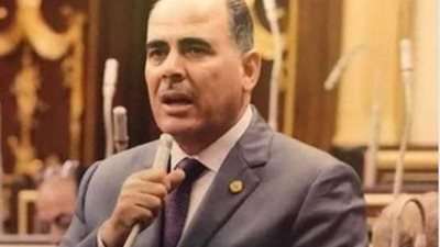 النائب زكريا حسان 