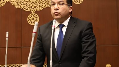 النائب عادل اللمعي 