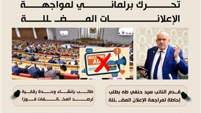 تحرك برلماني لمواجهة الإعلانات المضللة لحماية المستهلك وضبط السوق