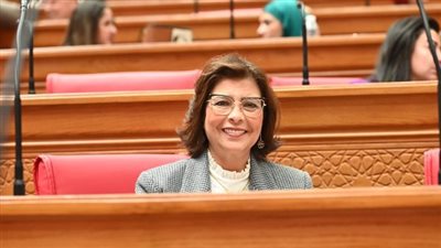 تضامن النواب: من الضروري حضور الوزراء أثناء مناقشة مشروعات القوانين