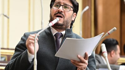 النائب أحمد البرلسي 