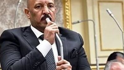 “رياضة النواب” تمنح وزارة الشباب 90 يوما لتطوير مركز شباب بالدقهلية 