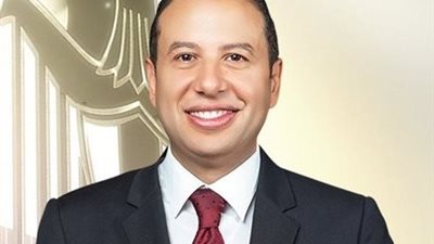 النائب حسن عمار 