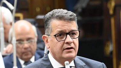 النائب طارق رضوان 