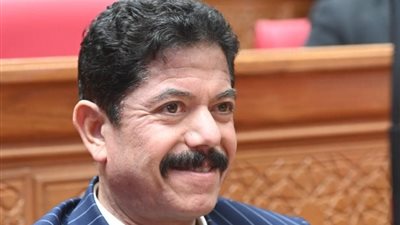 النائب علاء الحديوي 