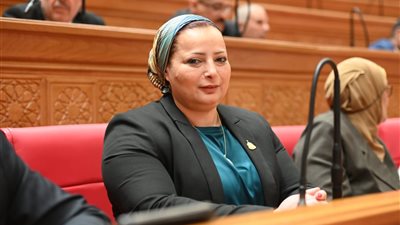 النائبة مروة حسان 