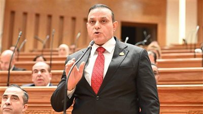 النائب مختار همام 