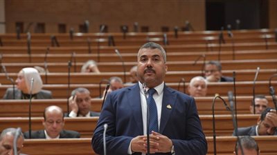 طلب إحاطة لتدعيم وحدات الرعاية الأولية بدار السلام بـ50 ممرضًا 