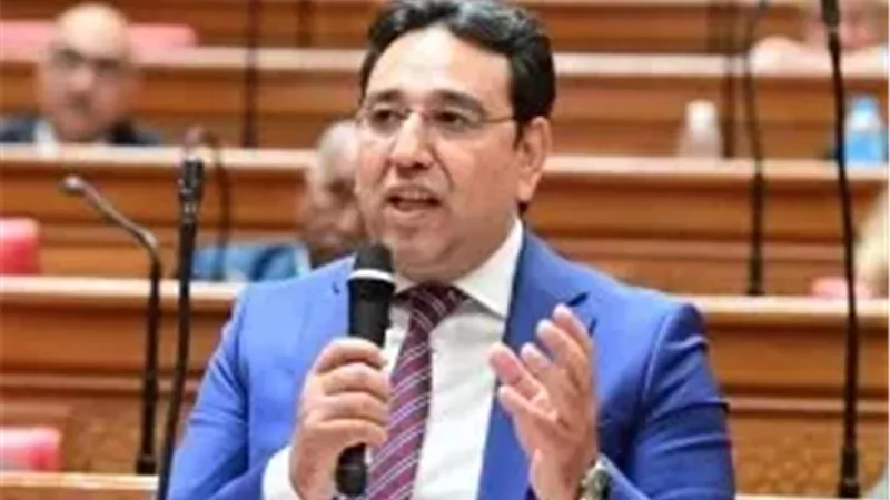 النائب أيمن محسب