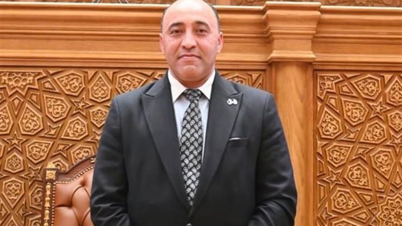 النائب حسام حسن