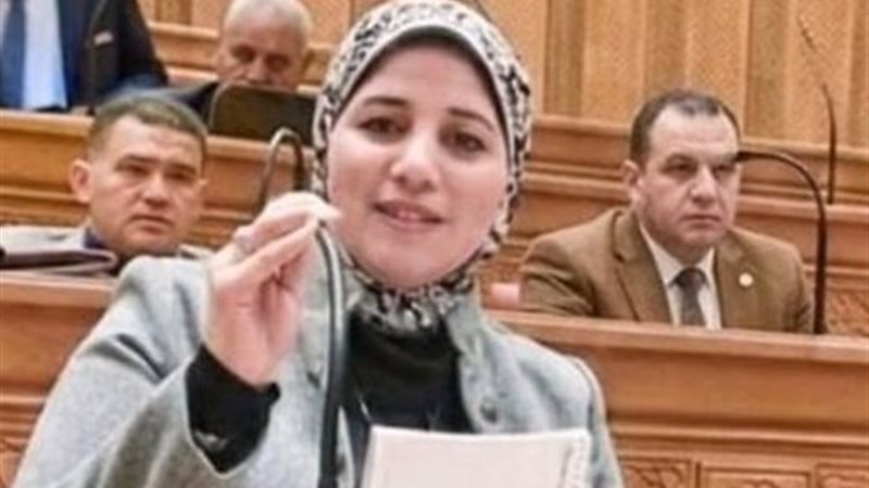  النائبة وفاء أحمد السرنجاوي