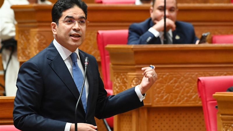  النائب ضياء الدين داود