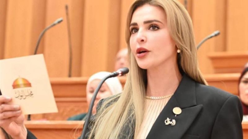  النائبة مروة حسين