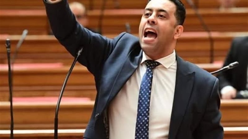 النائب أحمد فرغلي 