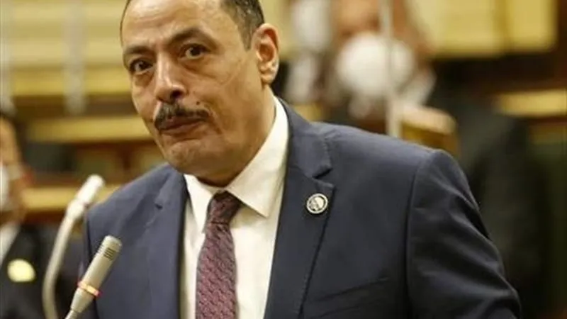 النائب أشرف أمين