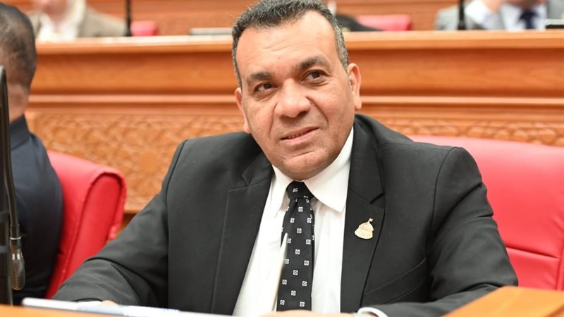 النائب أشرف مرزوق