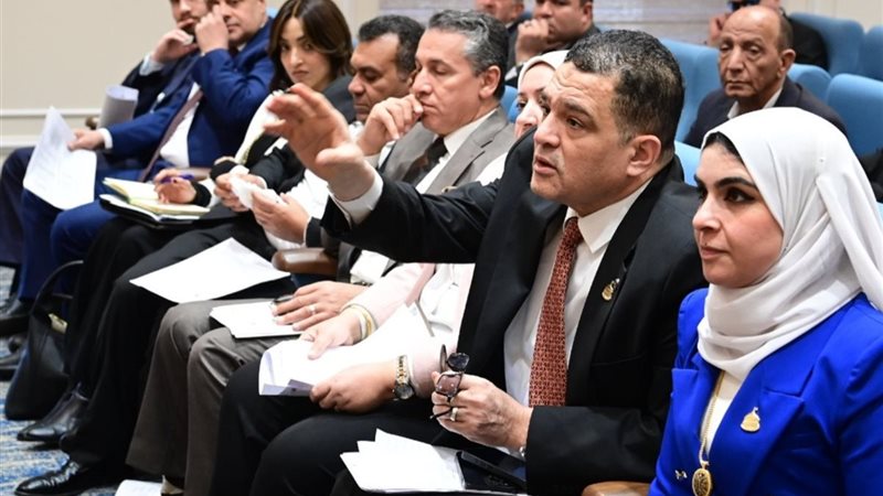 النائب أمير أحمد الجزار،