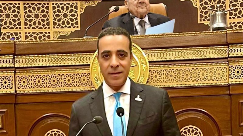 الدكتور أحمد حماد 