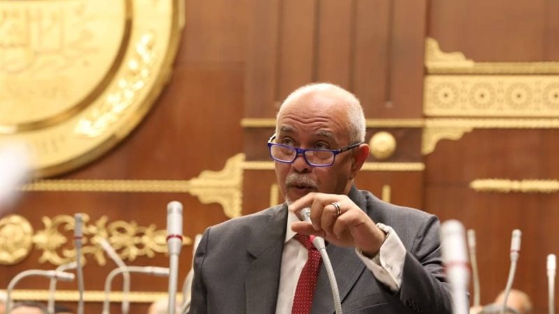 النائب حازم الجندي