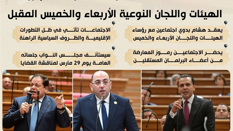 قبل جلسة 29 مارس.. اجتماعات مكثفة لرئيس النواب  