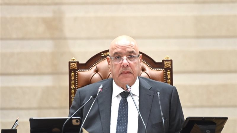  المستشار هشام بدوي