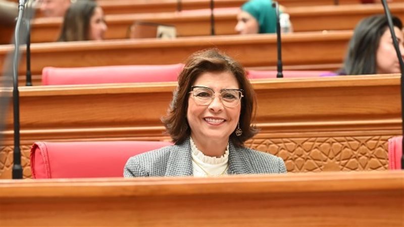 الدكتورة راندا مصطفى رئيسة لجنة التضامن 