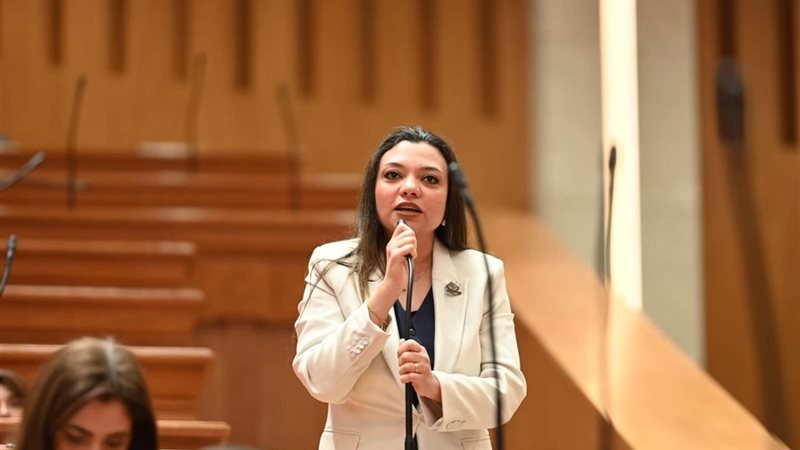 النائبة مي كرم جبر 