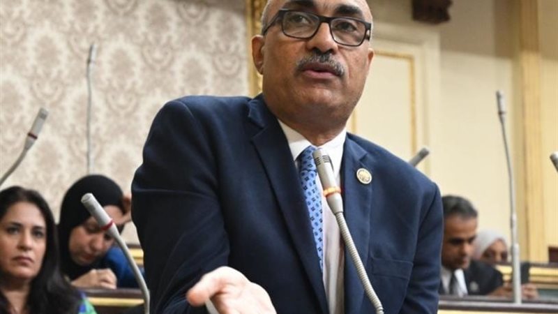 المهندس إيهاب منصور وكيل لجنة القوى العاملة بمجلس النواب 