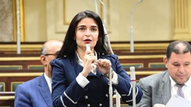  النائبة إيرين سعيد