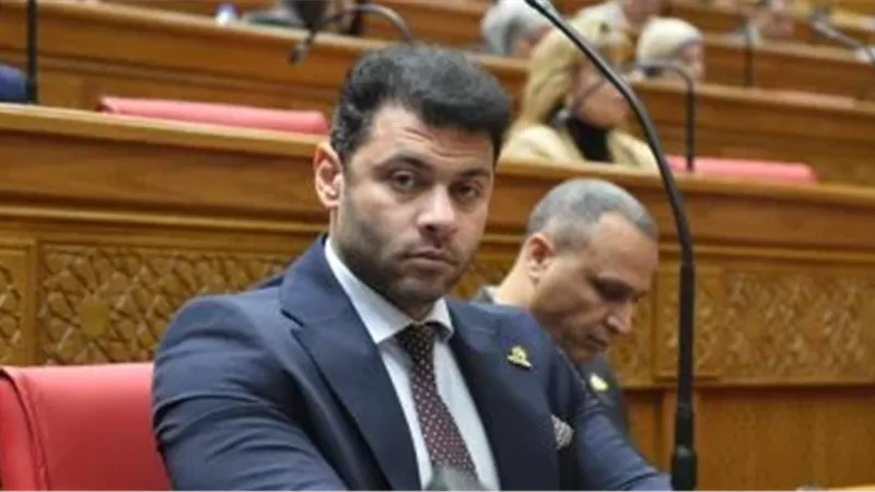 النائب أحمد حلمي