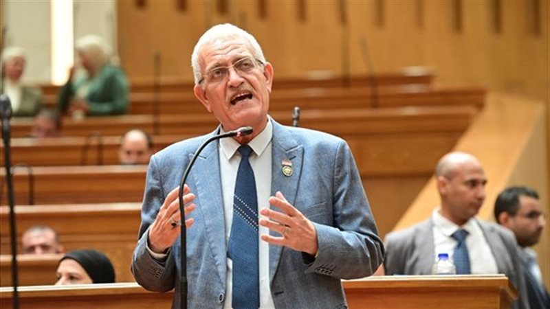 النائب عاطف المغاوري