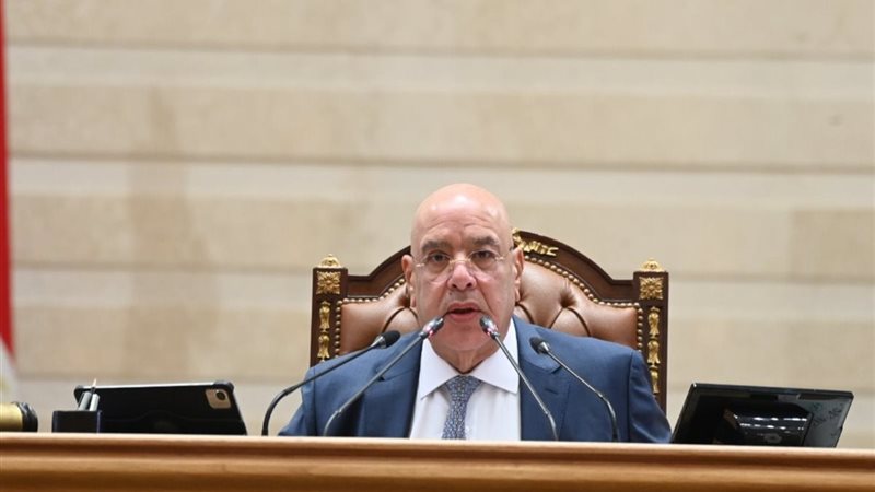 المستشار هشام بدوي