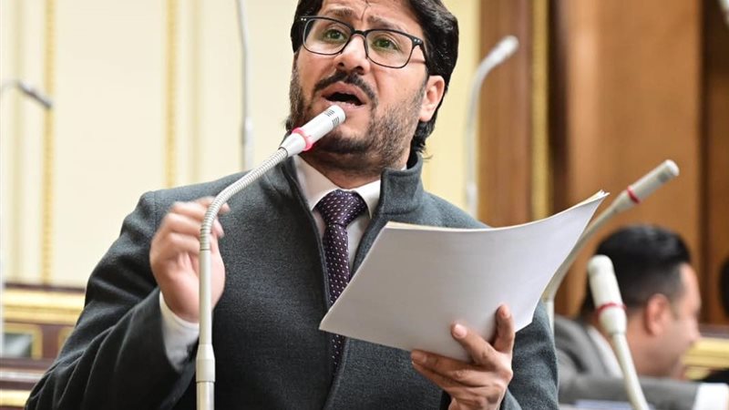 النائب أحمد البرلسي