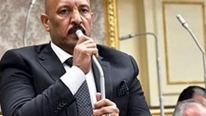  النائب احمد الحديدي