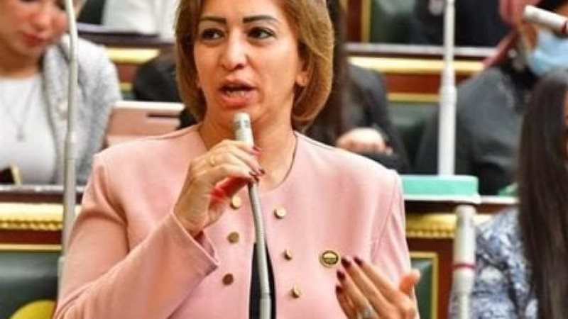 النائبة مها عبد الناصر