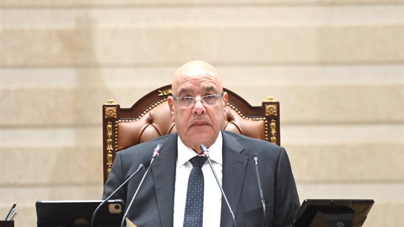 المستشار هشام بدوي