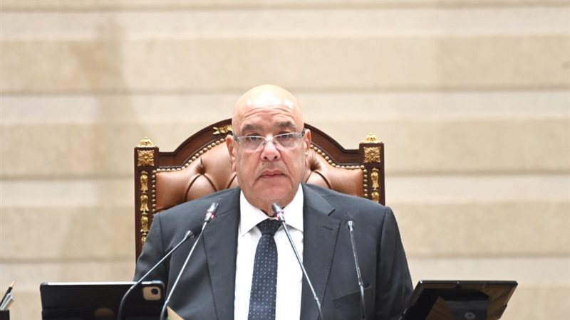 المستشار هشام بدوي