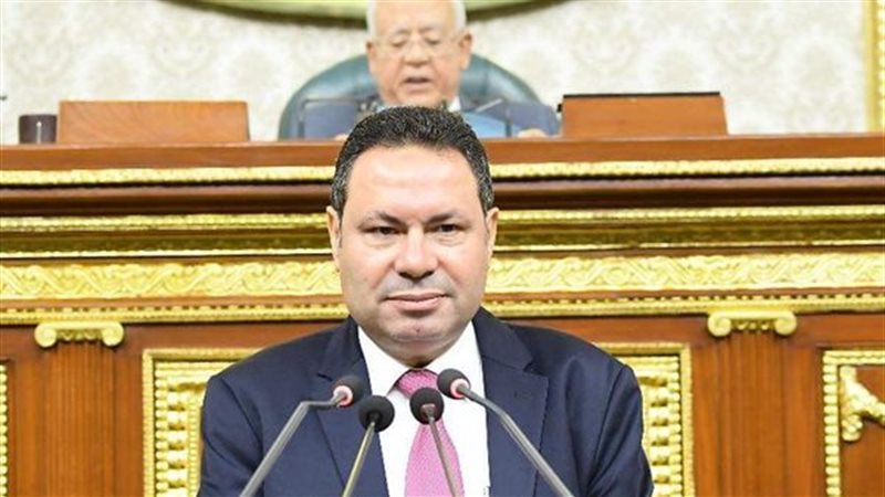 النائب هشام الحصري 