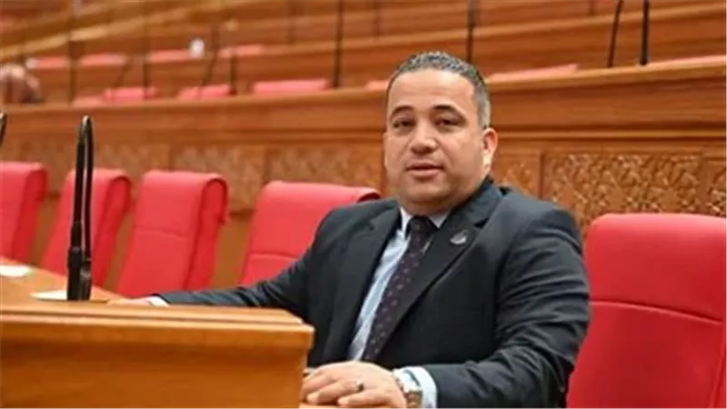 النائب مصطفى مرزوق