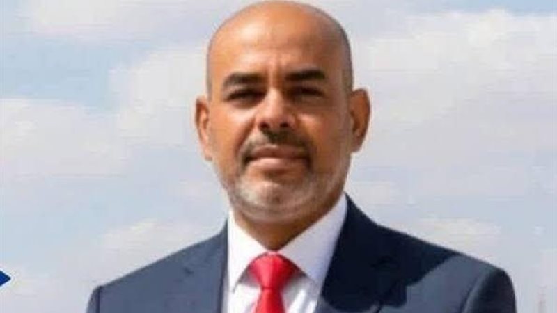 النائب محمد أبو الخير