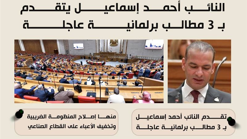 النائب إسماعيل صبرة